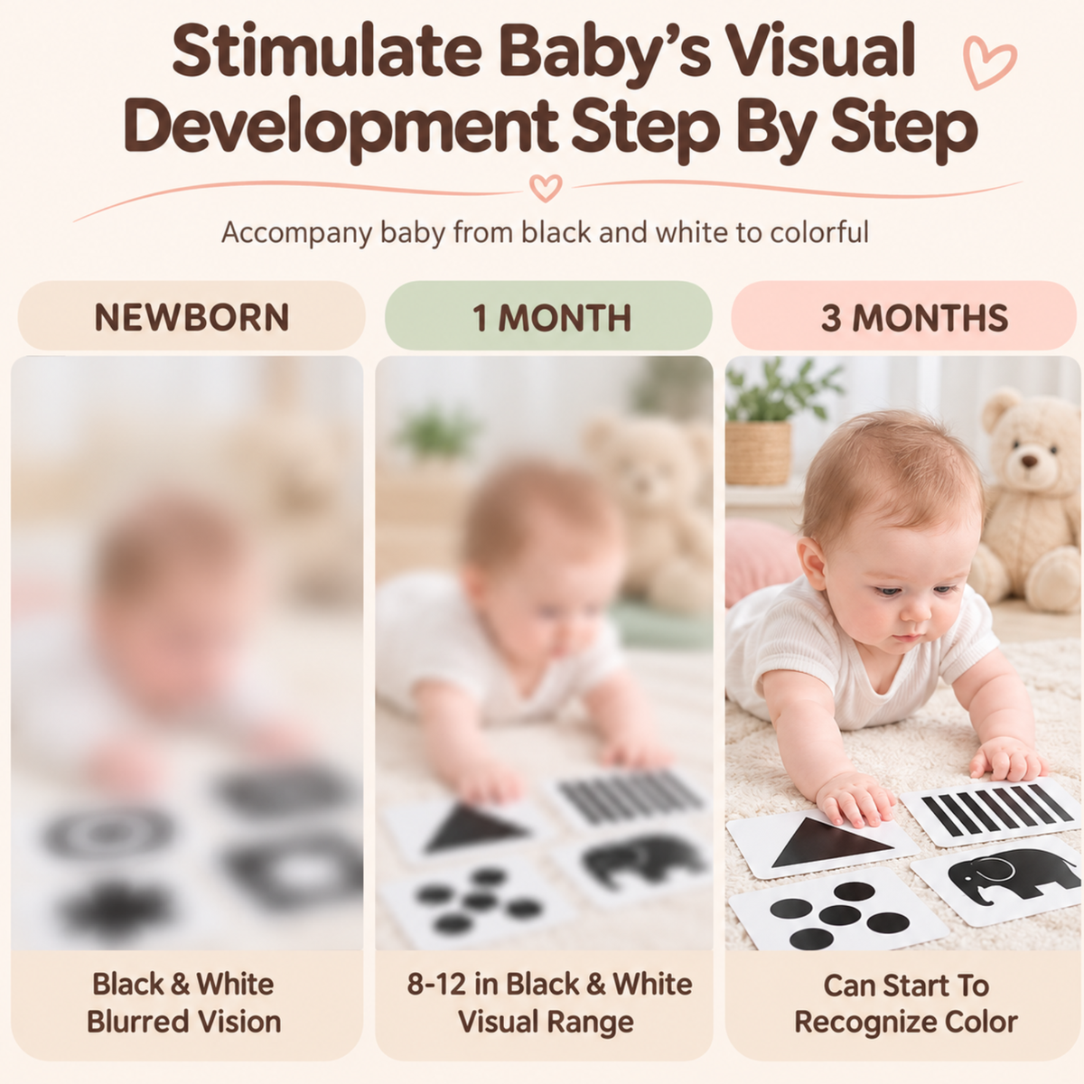 Stage 1 to Stage 4 - Books - Early Learning By Visual Card - 0 to 3Y - High Contrast Black & White Baby Visual Learning Card Main