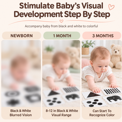 Stage 1 to Stage 4 - Books - Early Learning By Visual Card - 0 to 3Y - High Contrast Black & White Baby Visual Learning Card Main